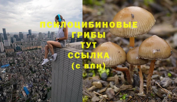 мдпв Белоозёрский